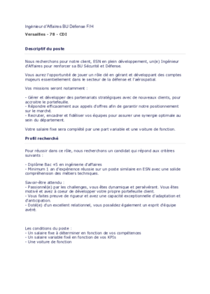 Couverture de Ingenieur d'Affaires