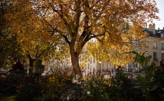  &copy; Ville de Versailles • Marc O Carion