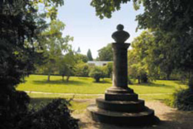 Illustration du jardin Illustration du jardin