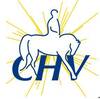 Illustration de Club Hippique de Versailles (CHV)