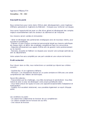 Couverture de Ingenieur d'affaires ESN