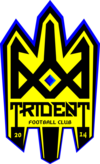 Illustration de ASUFC Trident