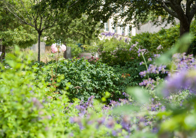 Jardin des Récollets