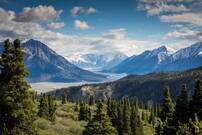 Texte alt - en avant plan une foret verdouillante et en fond une montagne enneigée