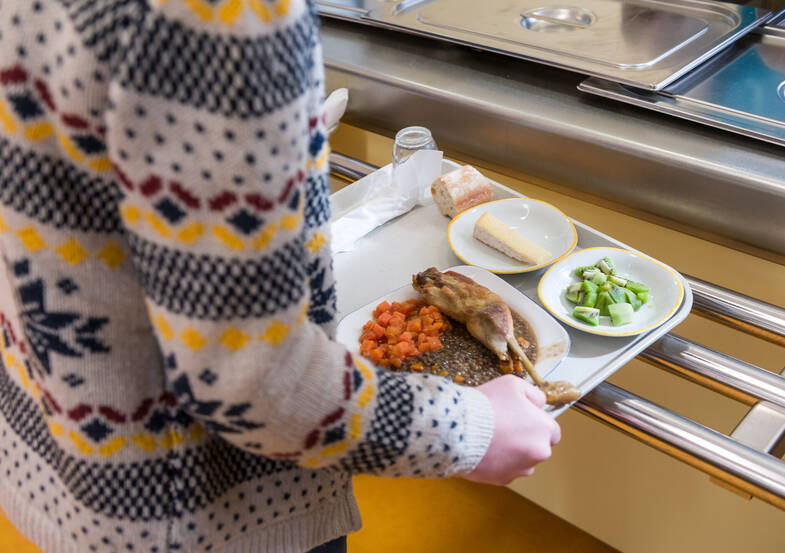 Plateaux repas de la cantine de l'école élémentaire Docteur Wapler