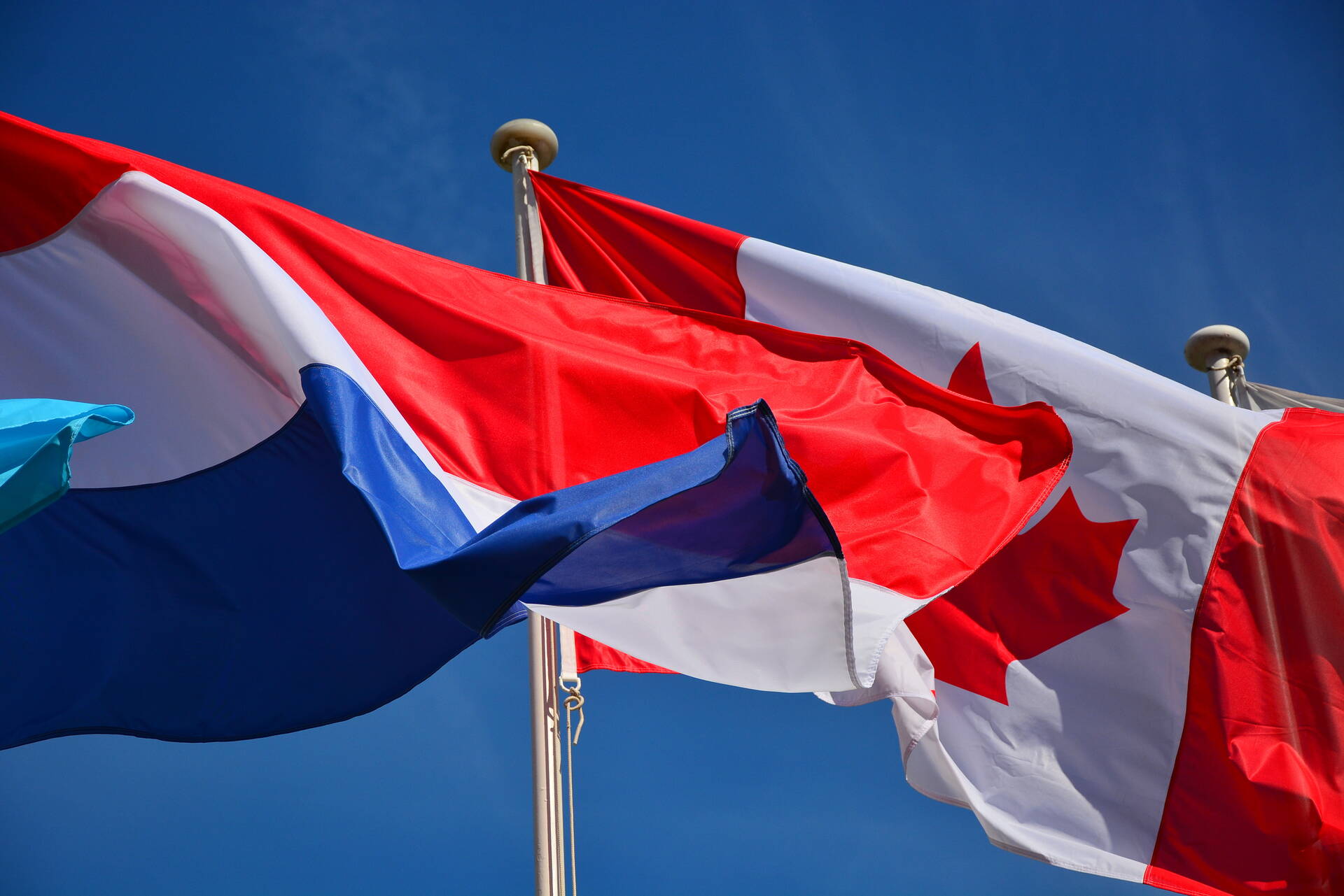 Networking business France Canada